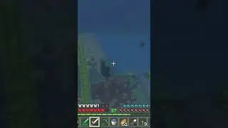 using a dolphin to get a trident in minecraft? #gaming #shorts #xbox #youtubeshorts #minecraft #easy