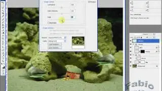 Making of Desafios Photoshop Brasil - Desafio Iniciante 37