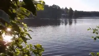 DSCN8871