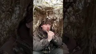 Манок на гуся белолобого #охота