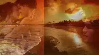 Amurai - Love & Light