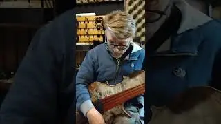 Stradi Pendox Fretless Bass -  First Impression