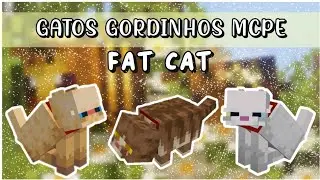 Fat Cats MCPE - Fat Cat MCPE 🐱❤️