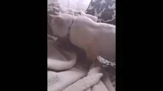 Тасена моя любимая кисена