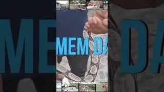 VAMOS VER A FEIRA LIVRE DA CIDADE DE SANTANA DO IPANEMA AL