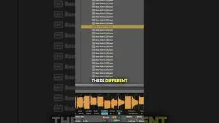 Multiple Bass Sounds In 1 With Track Samples