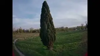 FRIDAY FPV with FRIENDS