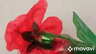 Аленький цветочек из одной бутылки 🌹#мкцветы#