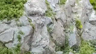 Nscale - Ground Cover Made EASY