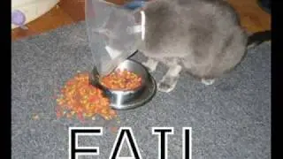 failblog