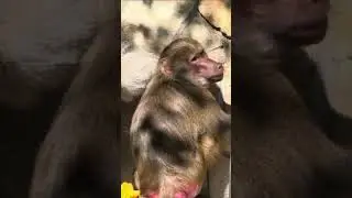 Лида и Елисей. Навек моя, а ты только  мой