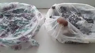 Идеальный климат при помощи -САЛФЕТКИ!!!
