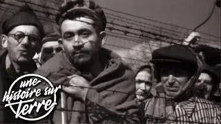 Les faussaires juifs d'un camp de concentration nazi