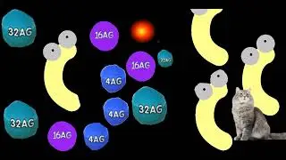 Funny Animation