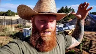 What three Years Alone - Off Grid in Arizona Taught me