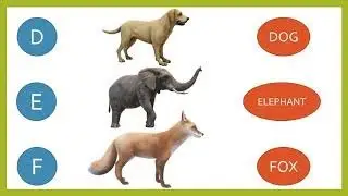 LEARN ENGLISH ALPHABETS WITH EXAMPLES