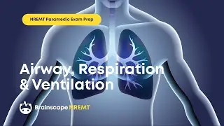 NREMT Paramedic Exam Prep, Ep. 1: 30 Questions on Airway, Respiration & Ventilation