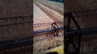 Начала уборки 2018. Комбайн New Holland CSX 7080.