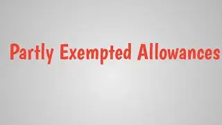 Partly Exempted Allowances