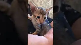 ❤️мой мармеладный😻