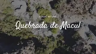 QUEBRADA DE MACUL | CHILE