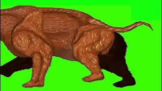 Diprotodon Green Screen for 