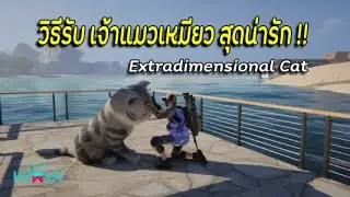 Once Human  วิธีรับเจ้าแมวเหมียว สัตว์เลี้ยงสุดน่ารัก !!