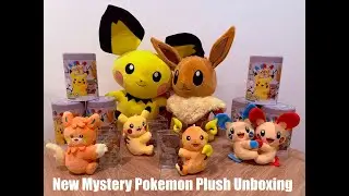UNBOXING NEW POKEMON MYSTERY PLUSH BOX!