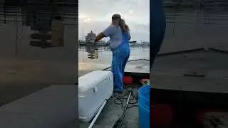 catching catfish. #b