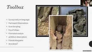 DBS EEB Seminar - Shelly Volsche -  Using Animal Behavior Techniques to Study Human-Animal...