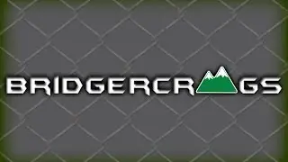 TwitchTV/BridgerCrags - Heroes and Generals Skirmish - Bandicam / Bandicut quality test