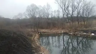 Обращение к русским. #pond
