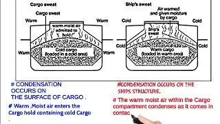 Difference between Cargo Sweat and Ships Sweat ....