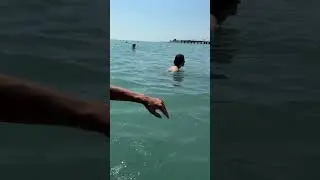 7 июня в Сочи / Пляж 🏝️ Богатырь / Имеретинка