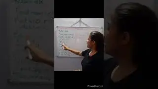 WAP to input a number and check whether it is Spy no. or not using While Loop | Class IX - X |