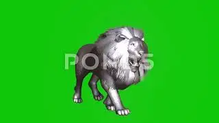 Green Screen Silver Lion Walking Running
