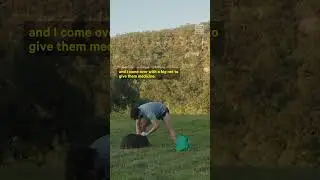 Man Embarks on Mission to Save Wombats From Mange 