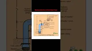 centrifugal pump working | centrifugal pump working animation | centrifugal pump animation