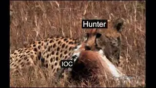 EvtXHunt - F34R 0f FOR3N51CS (ICT2202)