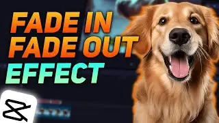 Fade In and Out in CapCut pc