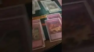 Updated True Draco Demise Yu-Gi-Oh! Deck Profile