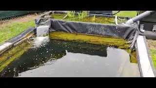 bassin de jardin au printemps