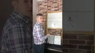 Загадка на логику. Как собаке перейти реку и вернуться к хозяину.