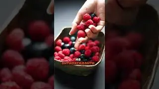 5 храни, които са полезни за твоето куче