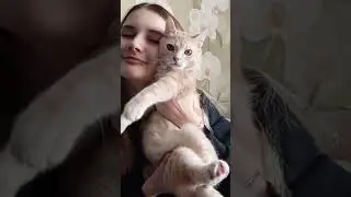 Любимчик наш♥️