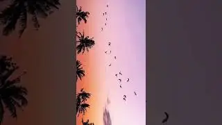 #Quran #hearttouchingquranrecitation #hearttouchingtilawat #bestquranvoice #viral #trending #islam
