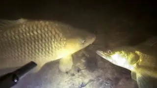 Лучшая охота с друзьями на Оке