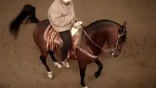 Caballo Bailando - DGM & CB