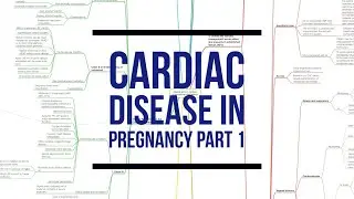 CARDIAC DISEASE IN PREGNANCY PART 1