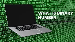 What is Binary Number | Explained in Urdu